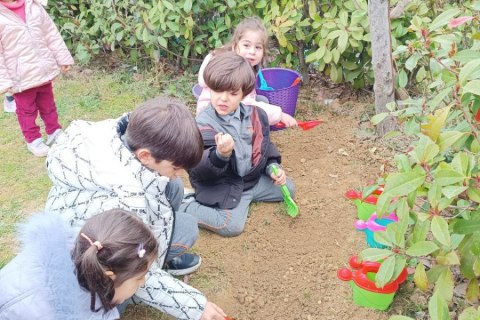 photo_2023-03-02_13-35-19