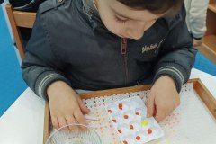منتسوري صف (أ) الفراشات