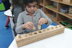 منتسوري صف (ب) الزهرات