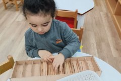 منتسوري فراشات أ