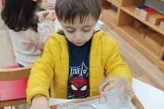 منتسوري فراشات أ