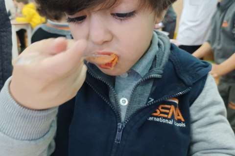 photo_2023-02-23_10-34-01