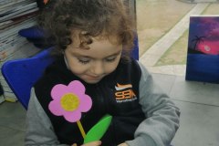 فن زهرات الشعبة ب