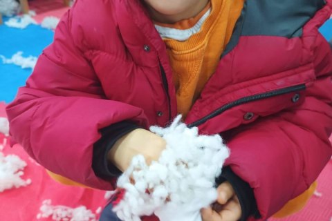 1_photo_2023-01-05_14-07-35