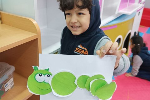 نشاط-كائن-حي-صف-أ-فراشات