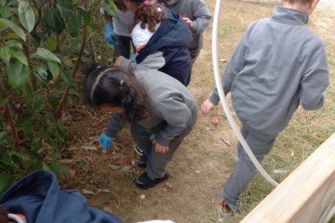 photo_2022-10-17_10-25-27