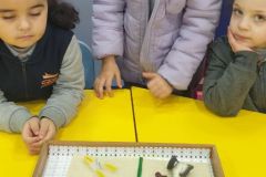 Living things and nonliving things A