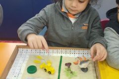 Living things and nonliving things B